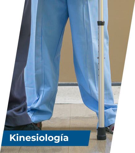 Kinesiología